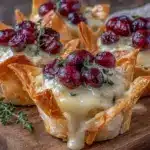 crispy cranberry brie bites - featured image